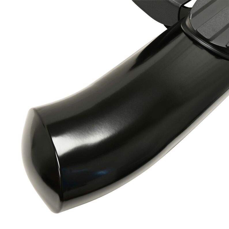 PRO TRAXX 4 Oval Nerf Step Bars
