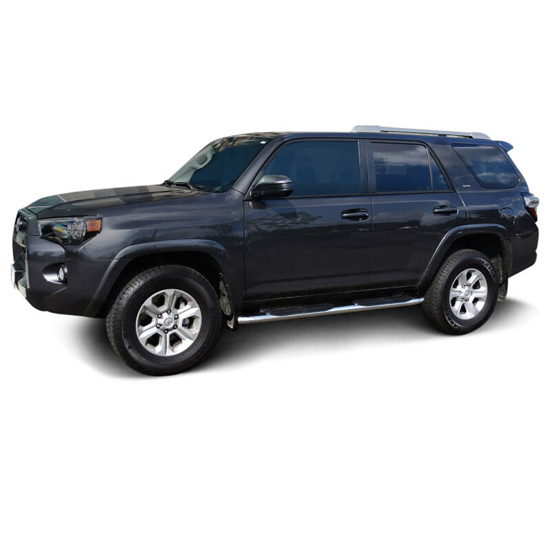 PRO TRAXX 4 Oval Nerf Step Bars