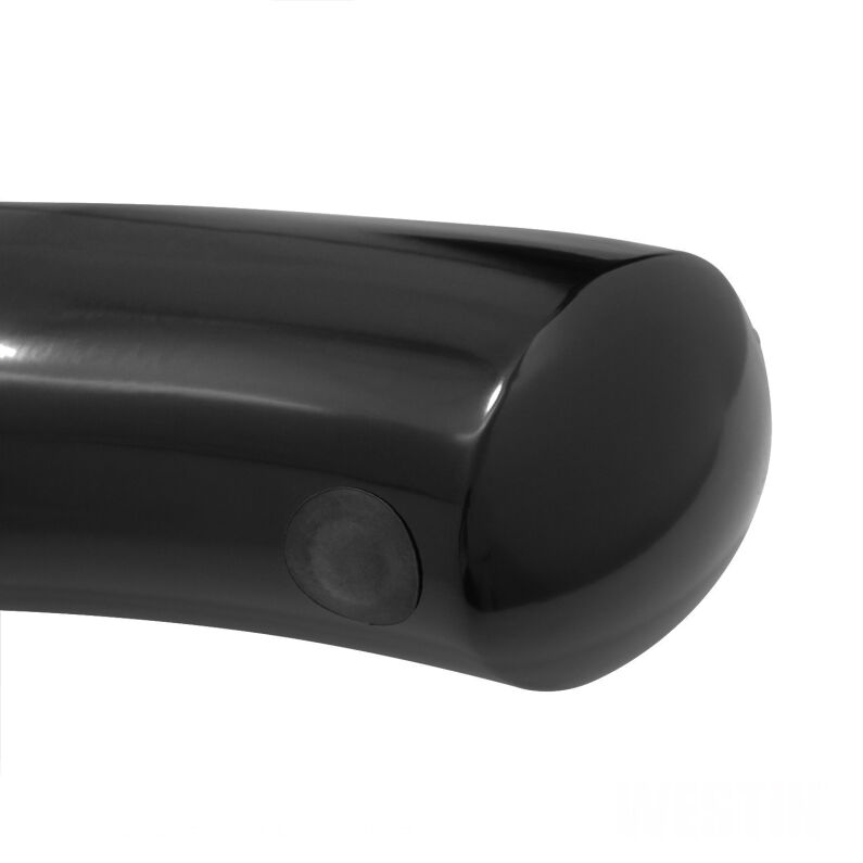 PRO TRAXX 4 Oval Nerf Step Bars