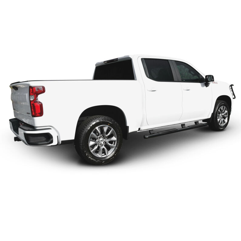 PRO TRAXX 4 Oval Nerf Step Bars