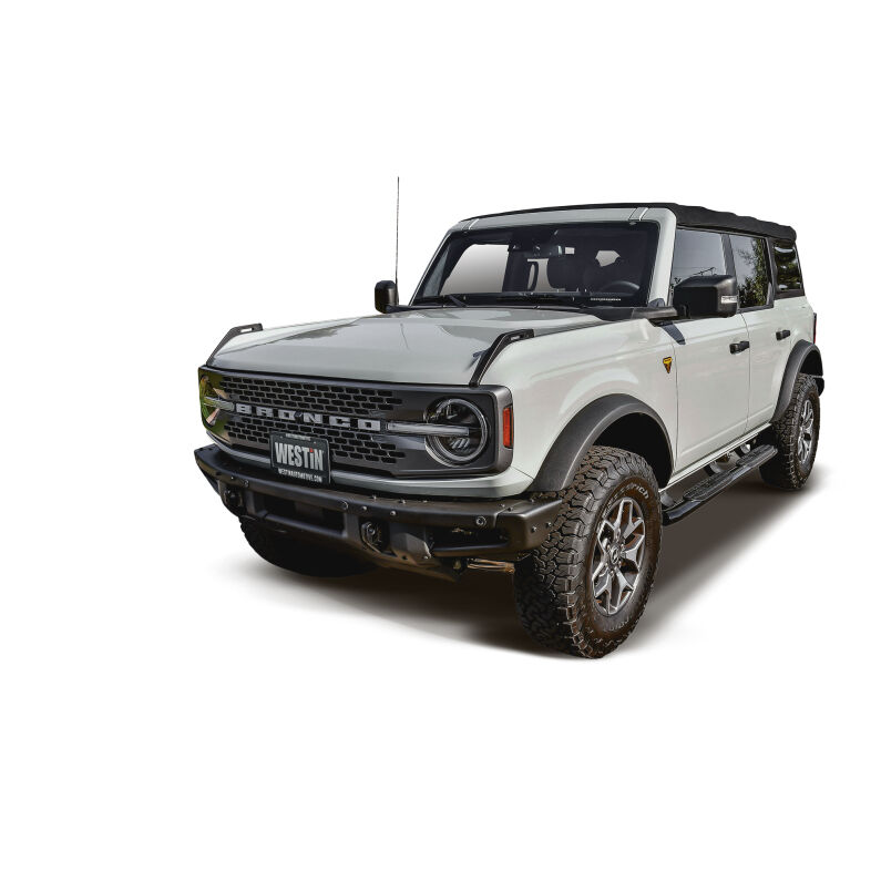 PRO TRAXX 4 Oval Nerf Step Bars