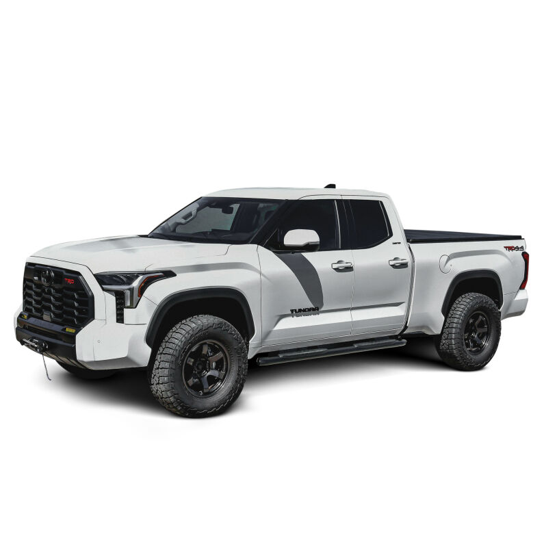 PRO TRAXX 4 Oval Nerf Step Bars