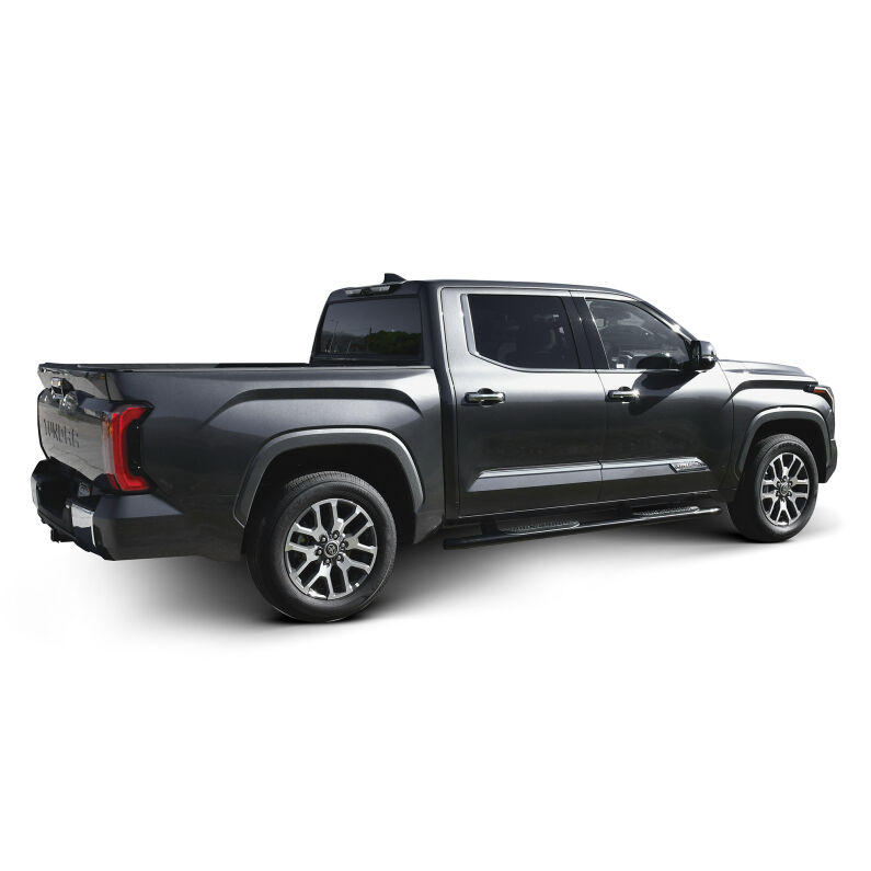 PRO TRAXX 4 Oval Nerf Step Bars