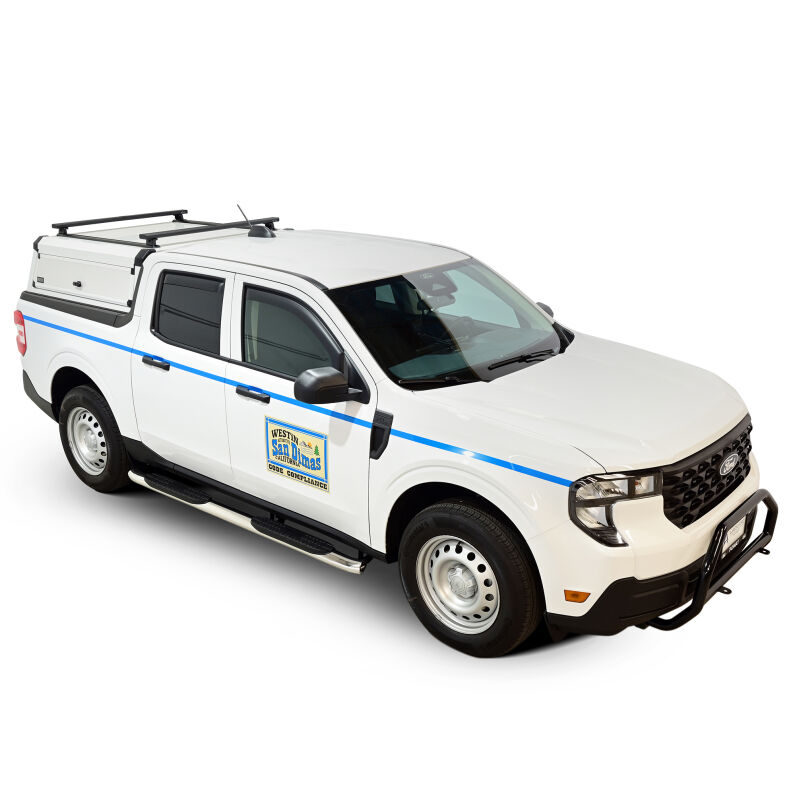 PRO TRAXX 4 Oval Nerf Step Bars