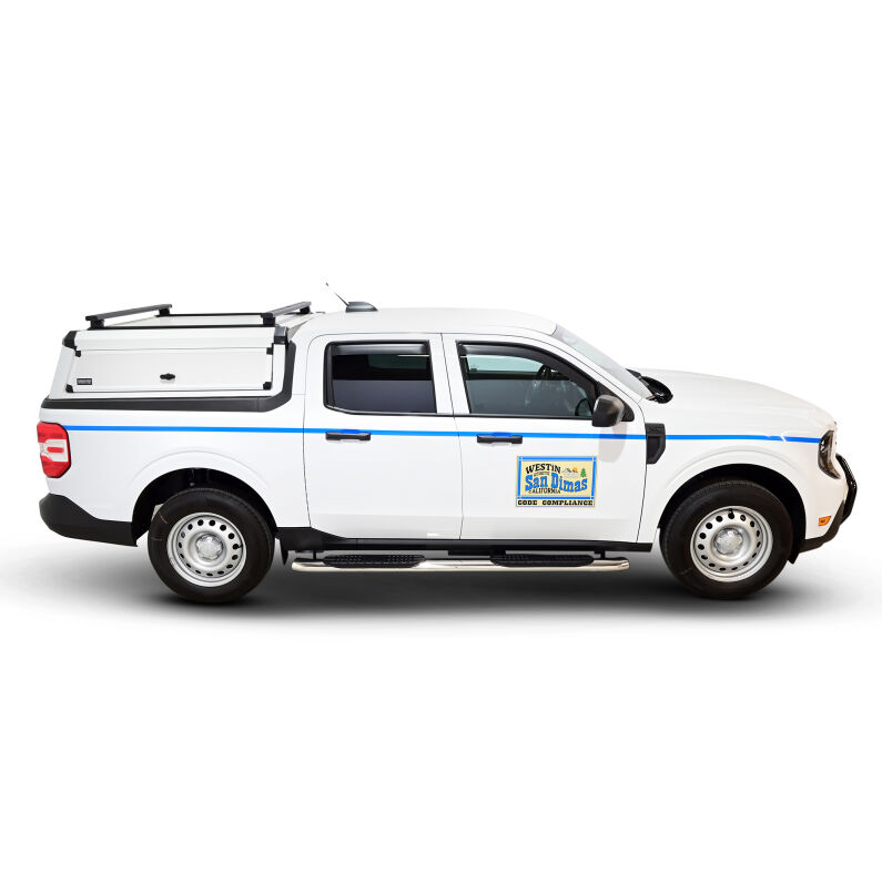PRO TRAXX 4 Oval Nerf Step Bars