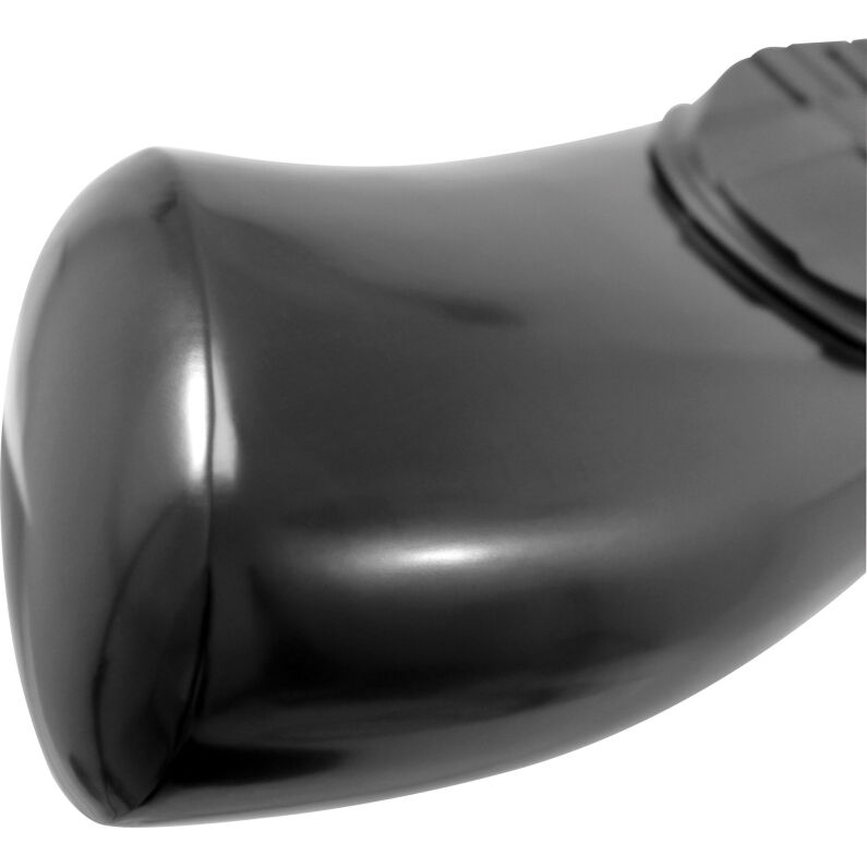 PRO TRAXX 5 Oval Nerf Step Bars