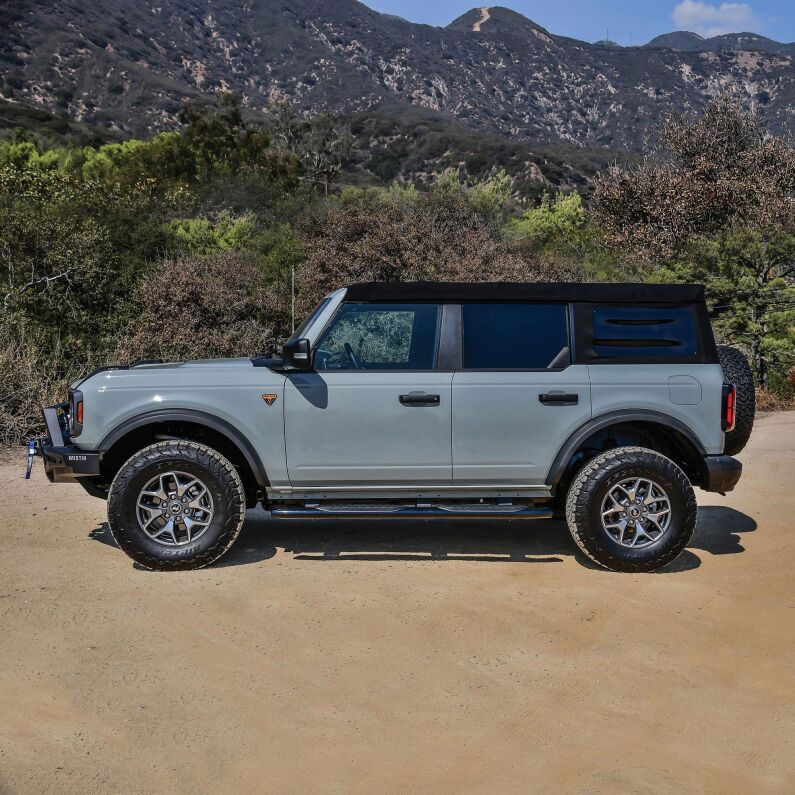 PRO TRAXX 5 Oval Nerf Step Bars