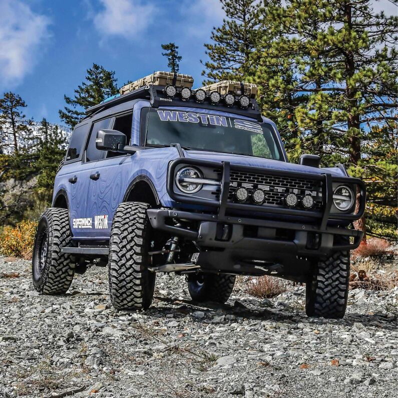 XTS Brush Guard for OEM Front Bumper